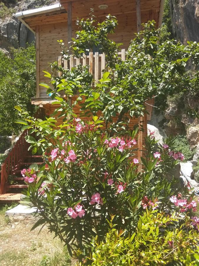 Hotel Kapuzbasi Selalesi Bastuerk Dinlenme Tesisleri Büyükçakır Exterior foto